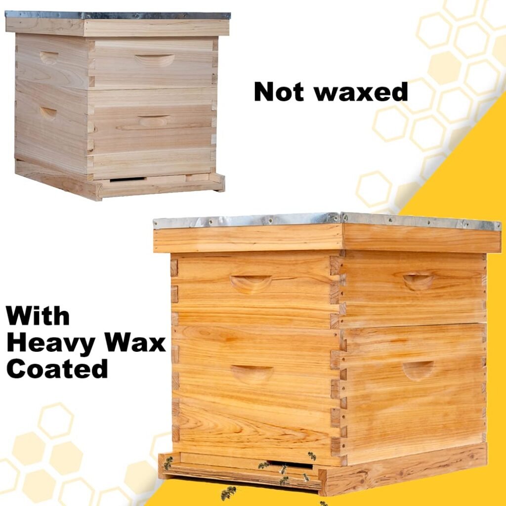 10 Frame Beehive Starter Kit, Beeswax Coated Bee Hives Includes 1 Deep Bee Boxes and 1 Bee Hive Super with Beehive Frames and Beeswax Foundation