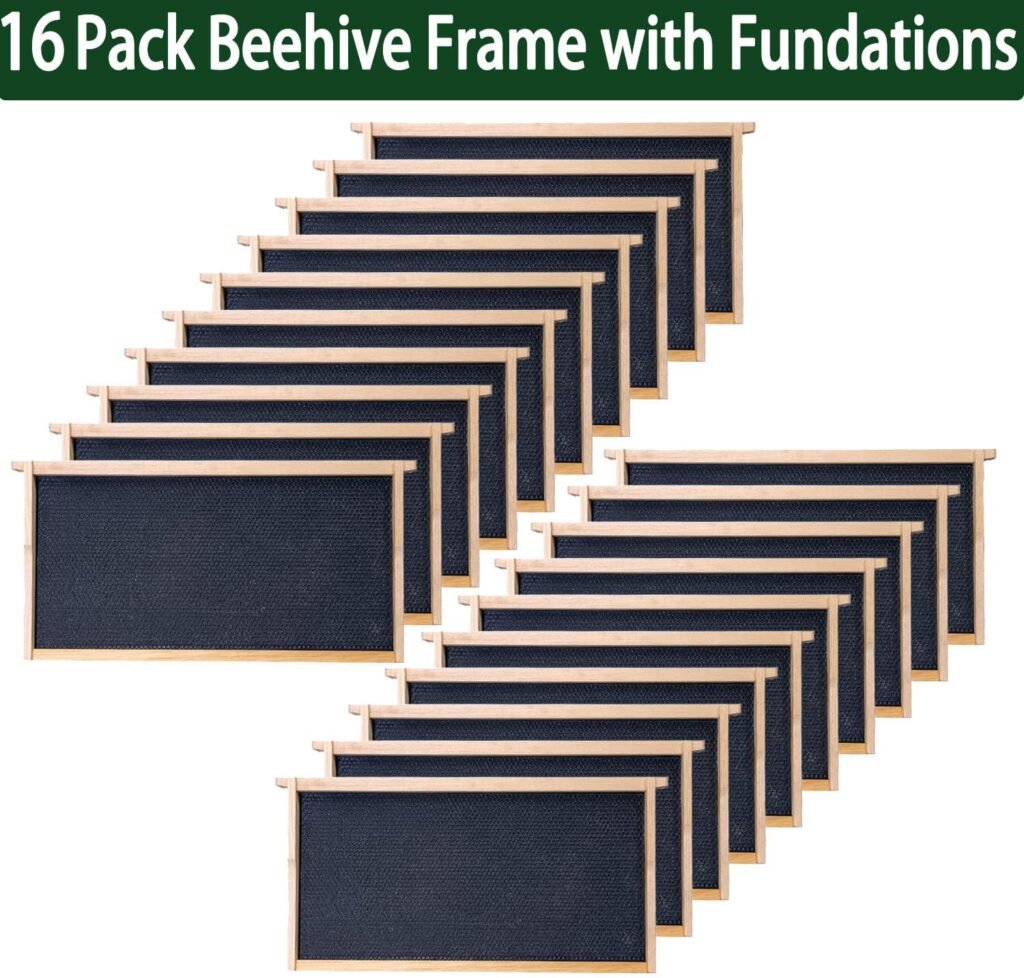 10 Frame BeeHives with Supplies Starter Kit, Bee Keeping Supplies-All Beginners Kit, Bee Hive Tool Set, Ventilated Bee Jacket (XXL)