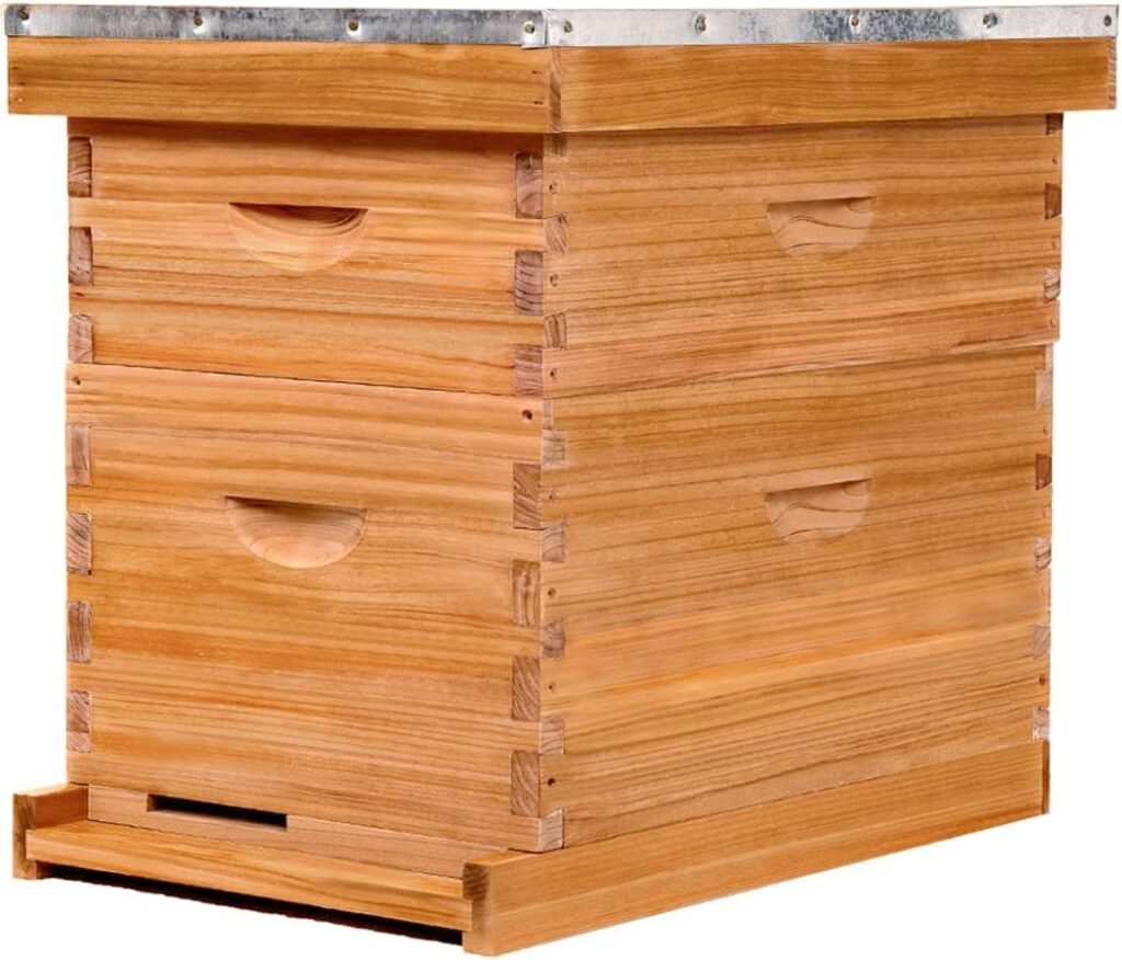 8 Frame Bee Hive,Complete Beehive Starter Kit for Beekeeper, Beehive Includes 1 Deep Bee Box and 1 Medium Bee Hives Boxes with Bee Frames and Beeswax Coated Foundation(2 Layer)