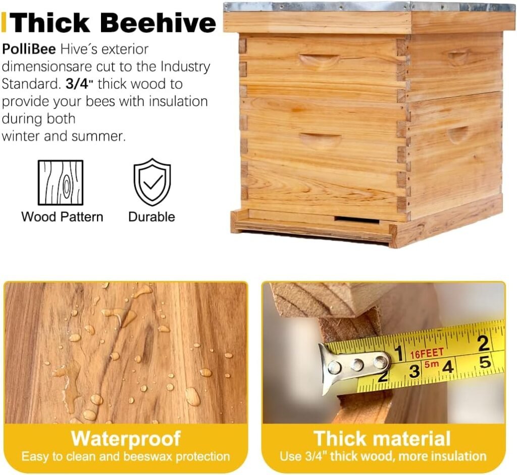 8 Frame Bee Hive,Complete Beehive Starter Kit for Beekeeper, Beehive Includes 1 Deep Bee Box and 1 Medium Bee Hives Boxes with Bee Frames and Beeswax Coated Foundation(2 Layer)