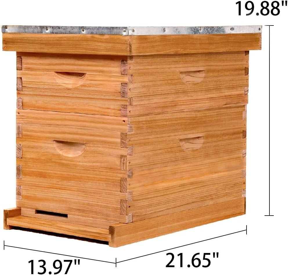 8 Frame Bee Hive,Complete Beehive Starter Kit for Beekeeper, Beehive Includes 1 Deep Bee Box and 1 Medium Bee Hives Boxes with Bee Frames and Beeswax Coated Foundation(2 Layer)