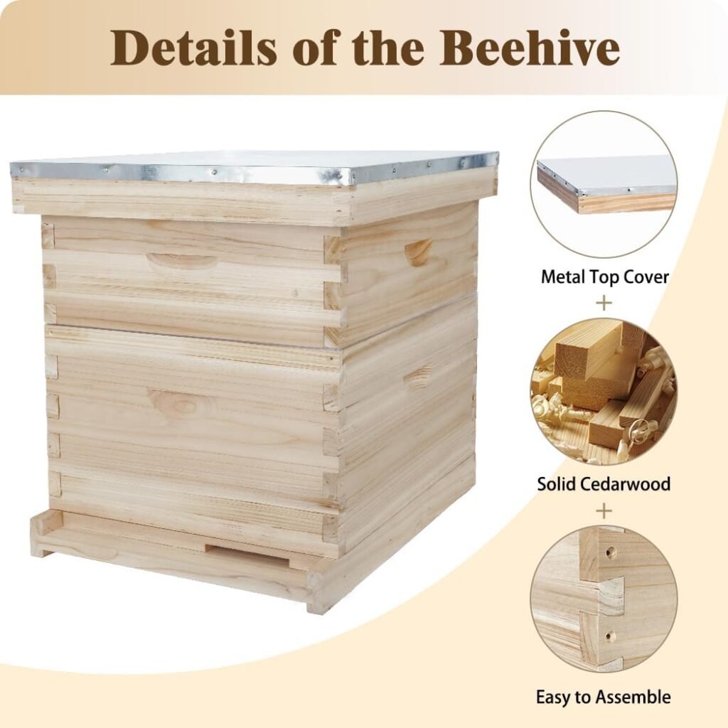 BeeCastle 8 Frame Langstroth Bee Hive, Beehive Starter Kit for Beginners with Beehive Frames and Waxed Foundation (1 Deep Box  1 Medium Box)