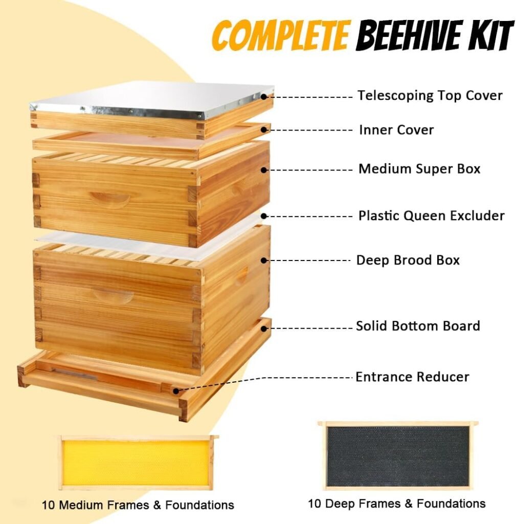 Honey Lake 10 Frame Bee Hive Starter Kit, Complete Beehive Kit for Beekeepers Dipped in 100% Beeswax Includes 1 Deep Brood Box  1 Medium Super Bee Box with Beehive Frames and Waxed Foundation Sheet