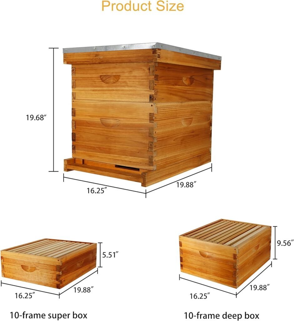 ThxBees 10-Frame Bee Hive Complete Beehive Kit Beeswax Coated Beehive Include Frames and Foundation Sheets for All Beekeeping Levels (1 Deep  1 Medium Bee Boxes)